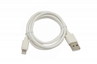 苹果USB A-lightning电线